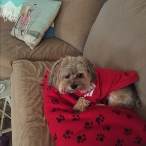 Meet your Posher, Pamela